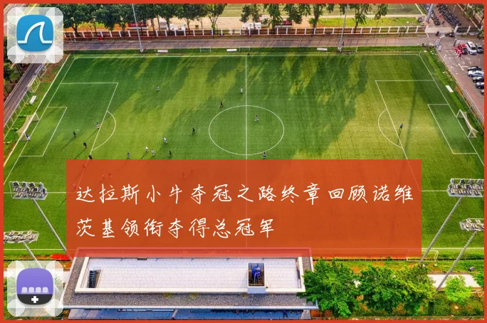 达拉斯小牛夺冠之路终章回顾诺维茨基领衔夺得总冠军