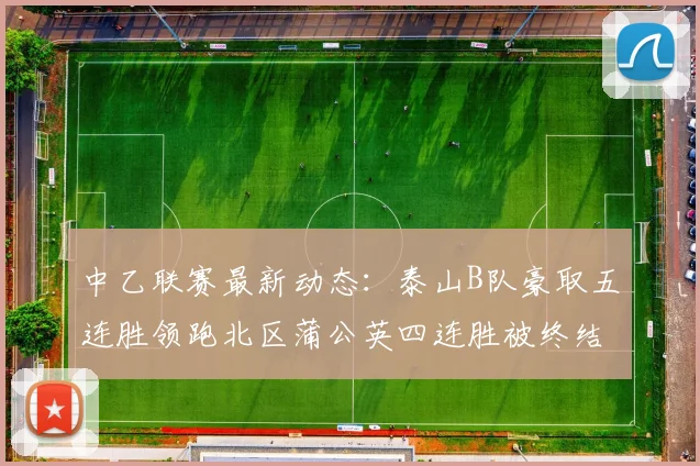 中乙联赛最新动态：泰山B队豪取五连胜领跑北区蒲公英四连胜被终结