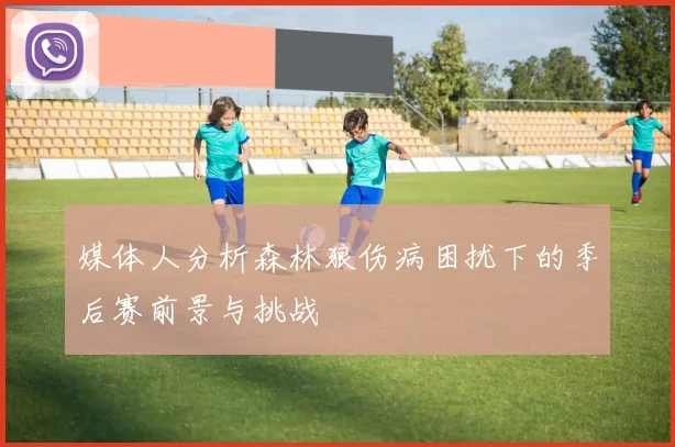 媒体人分析森林狼伤病困扰下的季后赛前景与挑战